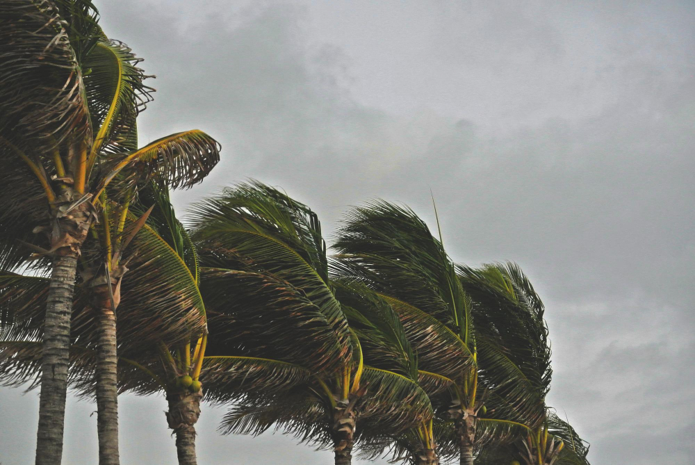 hurricane